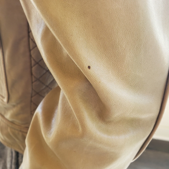 Zara Woman Moto Style 100% Real Leather Jacket - Picture 11 of 12